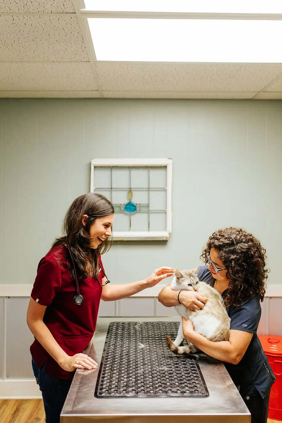 A veterinarian greeting a cat held by its owner