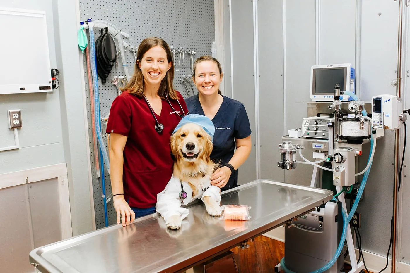 Two veterinarians with a golden retriever in the surgery suite
