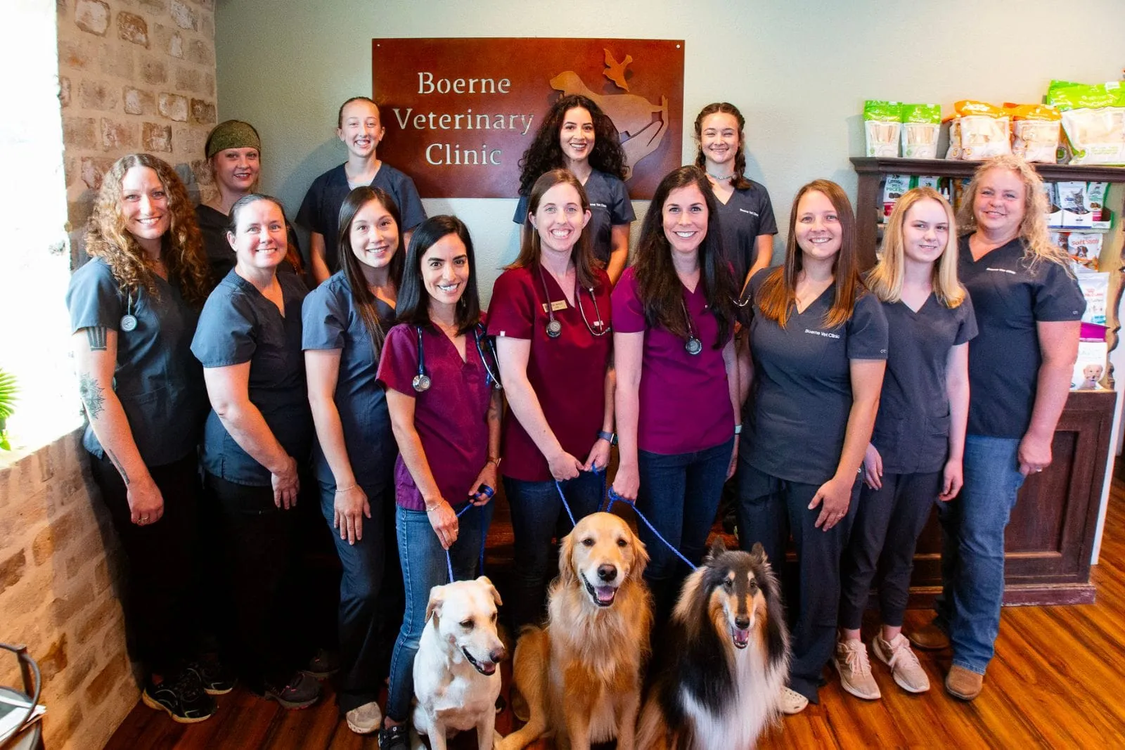 The Boerne Veterinary Clinic team with three dogs in the clinic lobby