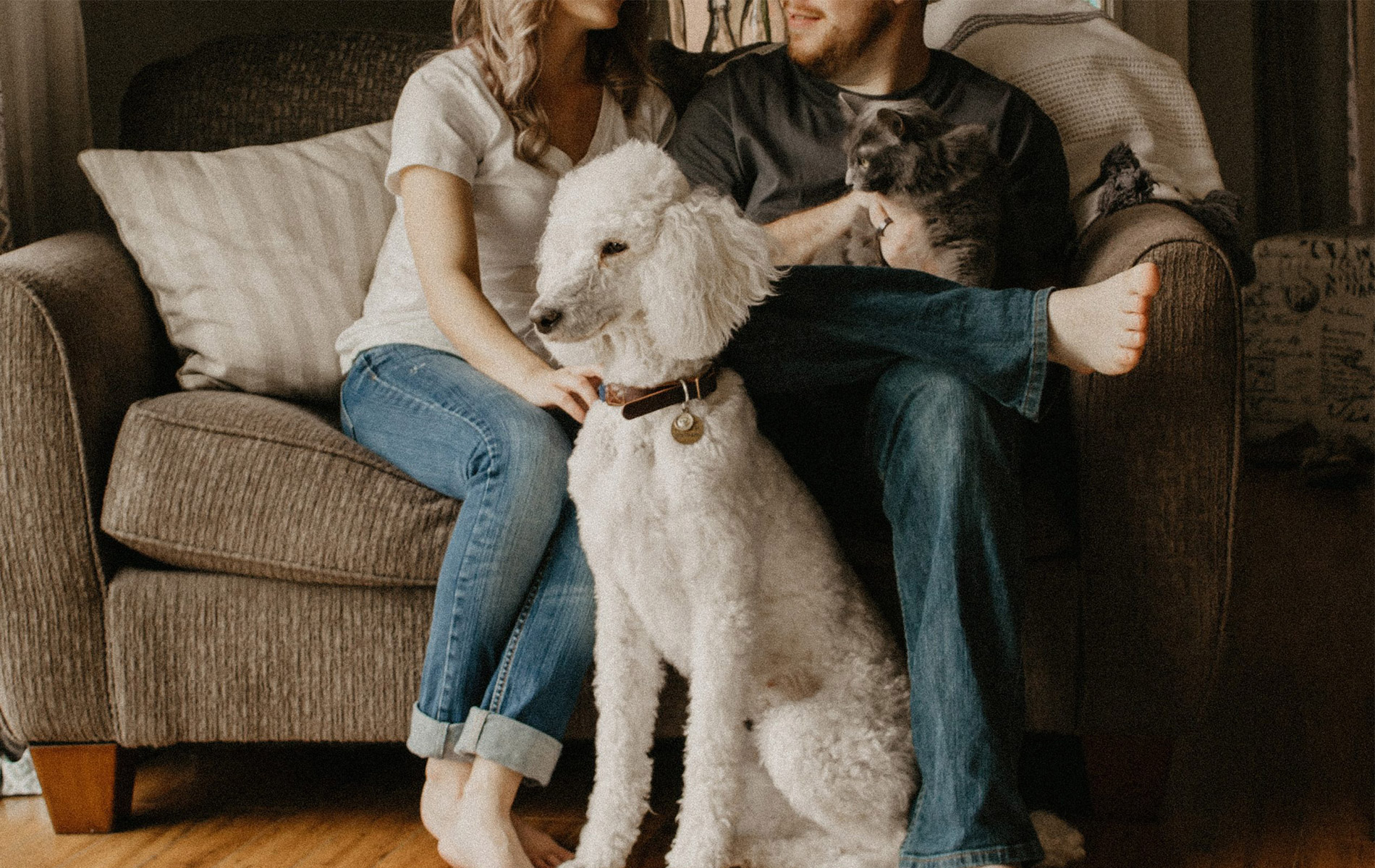 CareCredit Info Boerne Veterinary Clinic