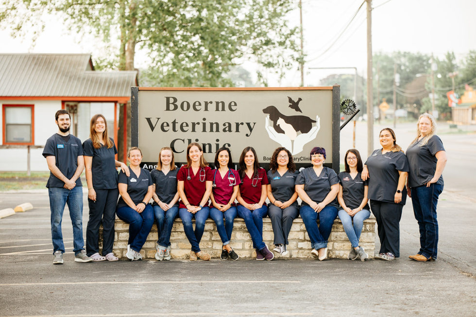 View Our Clinic Boerne Veterinary Clinic Boerne, TX Veterinarian
