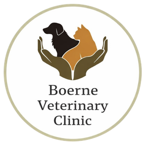 Boerne Veterinary Clinic